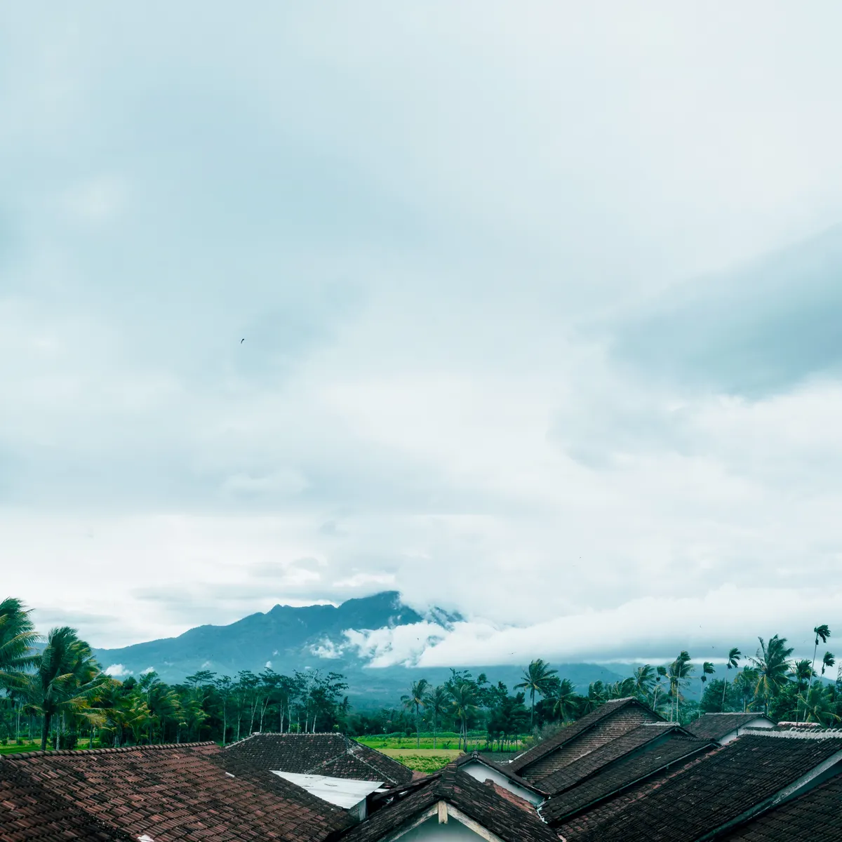 Atap-atap rumah dengan latar pegunungan dan pohon kelapa